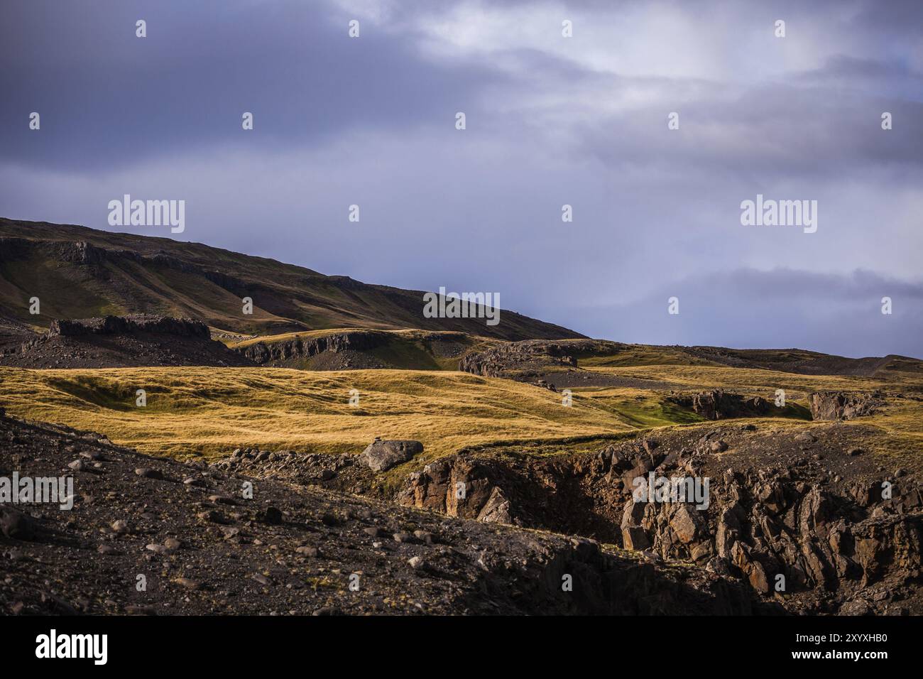 Raue Landschaft in der Nähe des Wasserfalls Hengifoss in Island Stockfoto