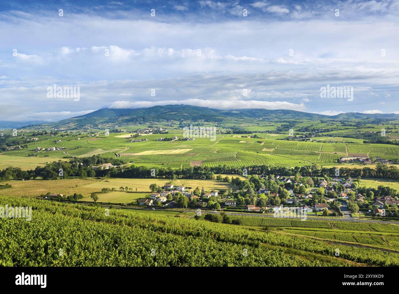 Cercie Village und Regnie-Durette Weinberge, Landschaft von Beaujolais, Frankreich, Europa Stockfoto