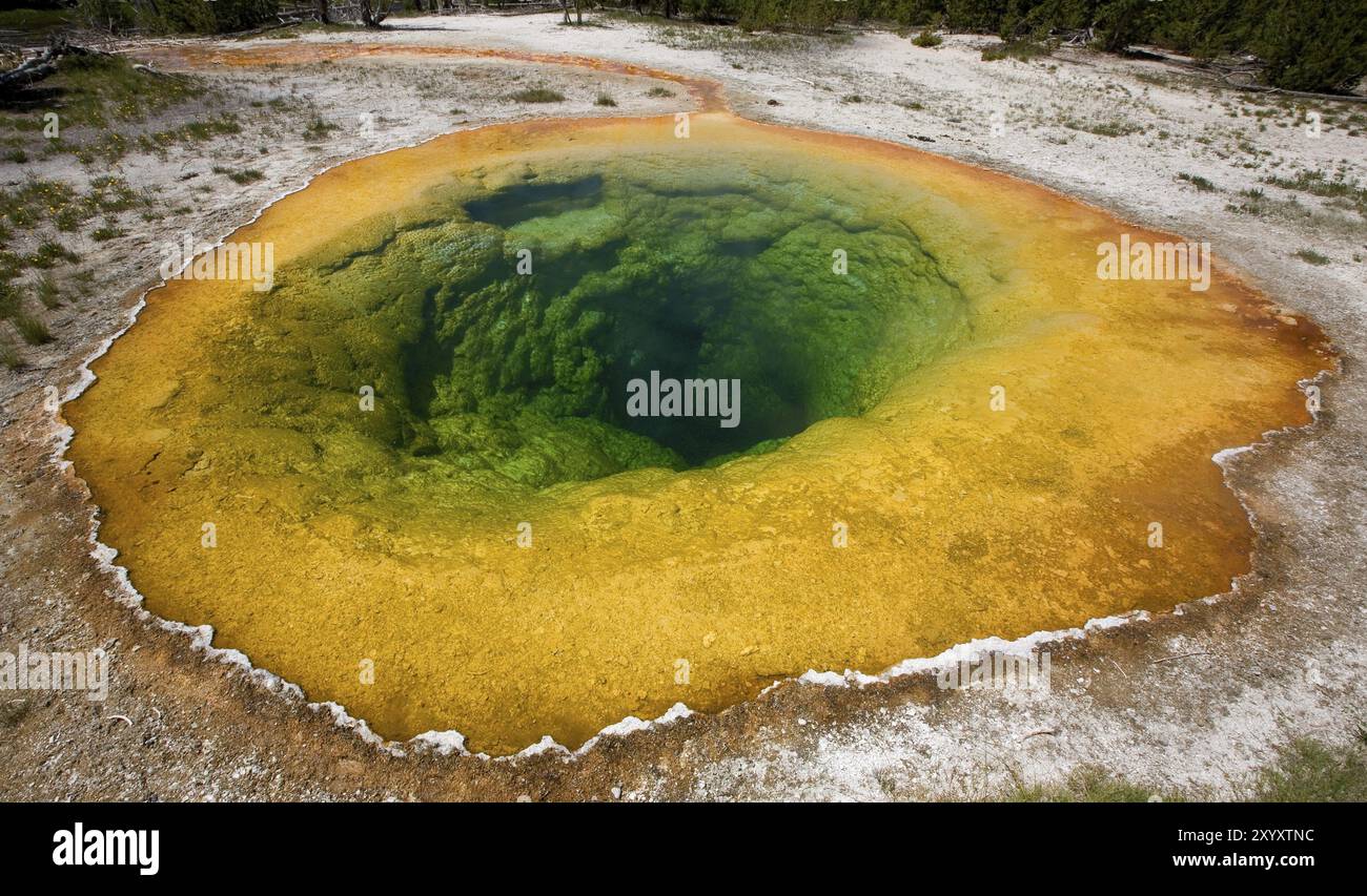 Der Morning Glory Pool im Yellowstone National Park Stockfoto
