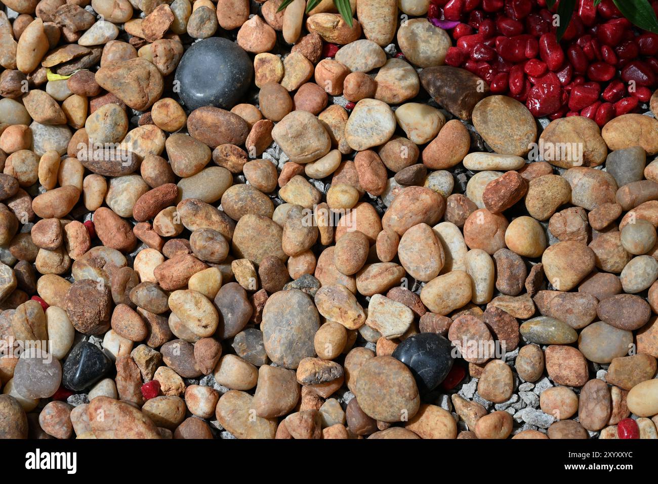 Kleine bunte Kieselsteine und natürliche Kieselsteine zur Dekoration des Gartens in Thiruvananthapuram, Kerala, Indien Stockfoto
