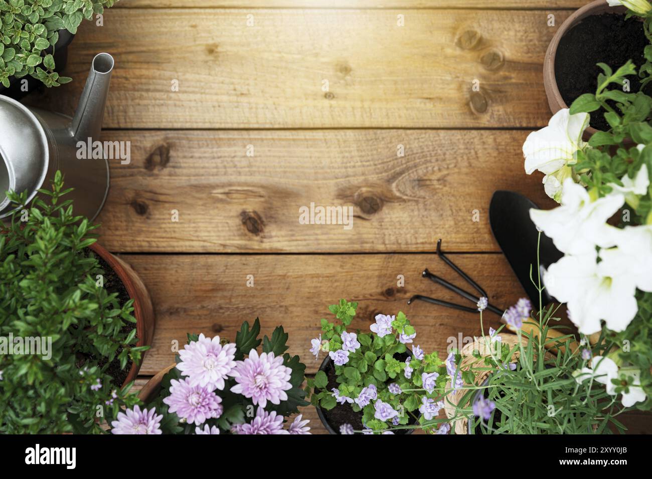 Draufsicht auf Gartenarbeit, Landschaftsgestaltungswerkzeuge und -Geräte, verschiedene Blumen und verschiedene Kräuter in Töpfen auf brauner Holzunterlage. Ein leerer Polizist Stockfoto