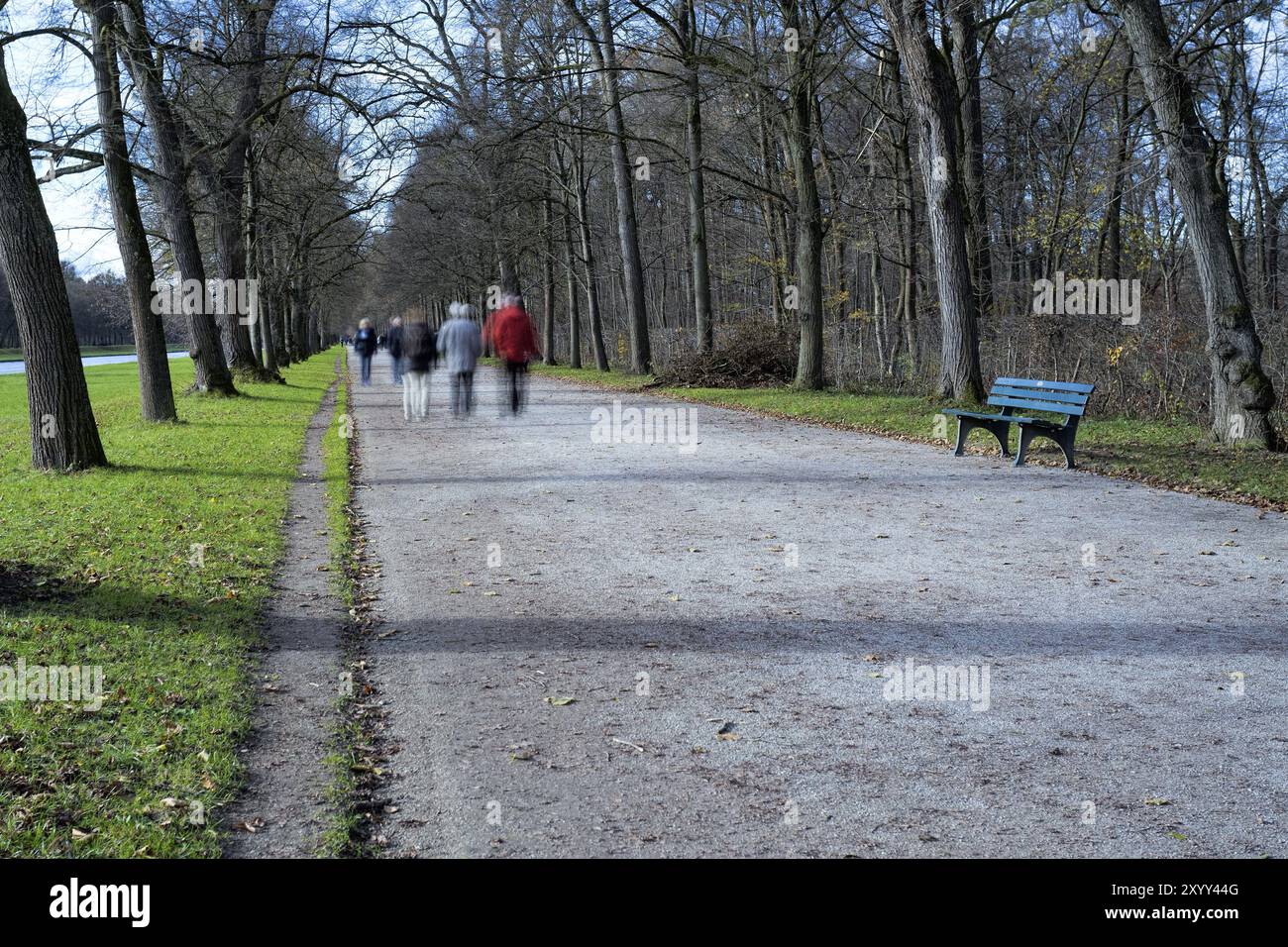 Avenue auf dem Gelände des Schlosses Nymphenburg Stockfoto