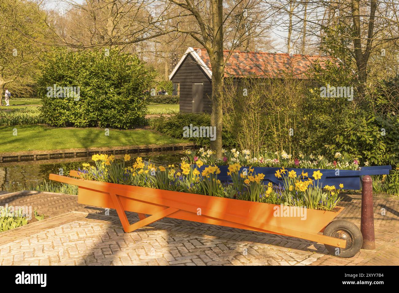 Lisse, Niederlande, April 2022. Der Keukenhof-Garten mit typisch holländischer Landschaft mit Narzissen, Tulpen und Windmühle Stockfoto