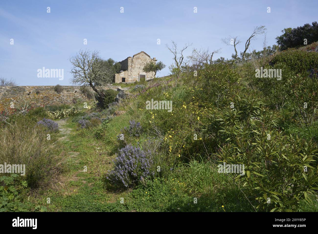 Monsaraz-Garten mit Kapelle im Vordergrund in Alentejo, Portugal, Europa Stockfoto