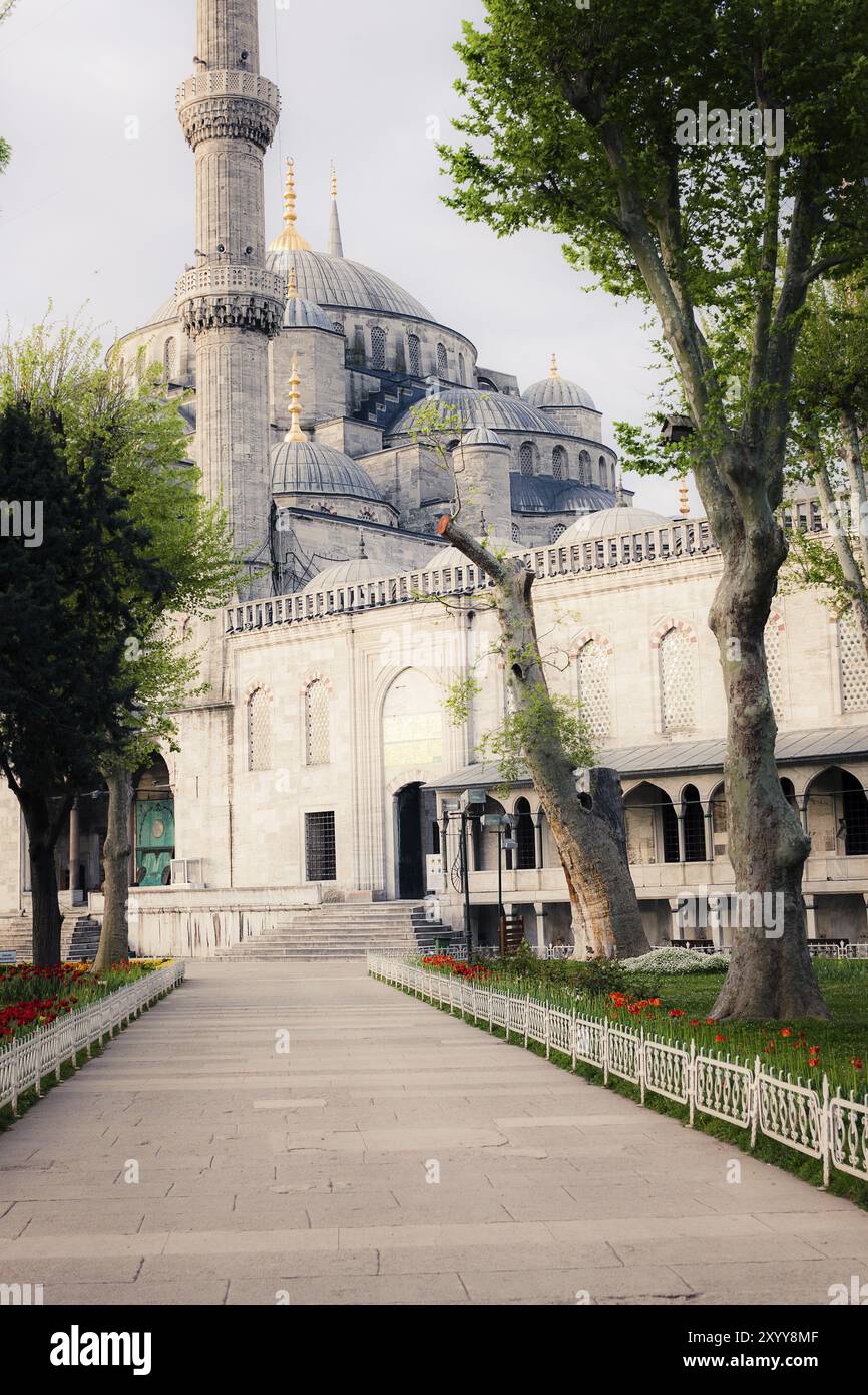 Sultanahmet Blaue Moschee Architektur, Istanbul, Türkei, Asien Stockfoto
