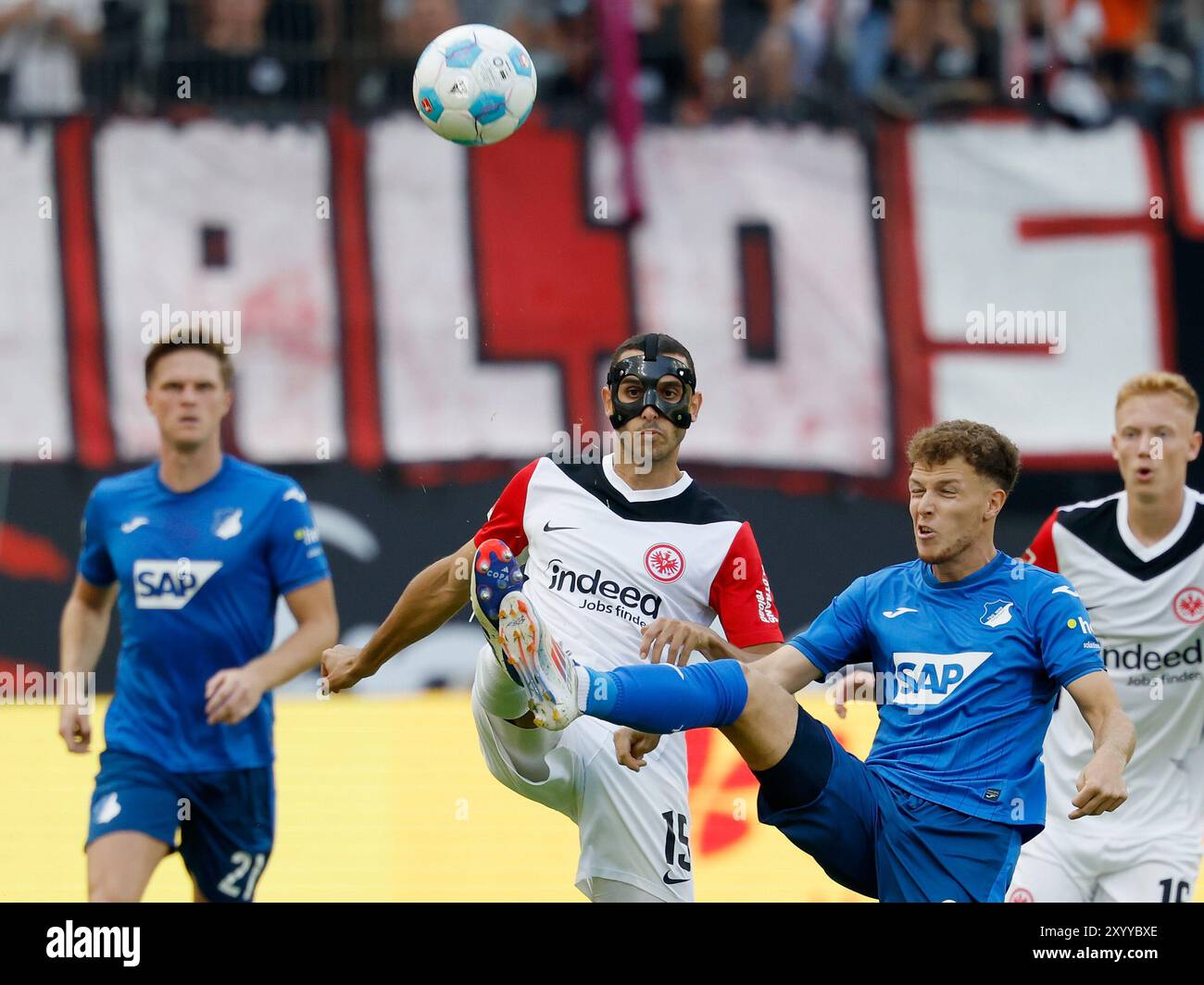 Frankfurt Am Main, Deutschland. 31. August 2024. Im Kampf um den Ball, Ellyes Skhiri (Eintracht Frankfurt, 15) l. und Dennis Geiger (TSG Hoffenheim, 8). 31.08.2024, Fußball, 1. Bundesliga, Eintracht Frankfurt - TSG Hoffenheim, GER, Frankfurt am Main, Deutsche Bank Park, DFL-VORSCHRIFTEN VERBIETEN DIE VERWENDUNG VON FOTOGRAFIEN ALS BILDSEQUENZEN UND/ODER QUASI-VIDEO. Quelle: dpa/Alamy Live News Stockfoto