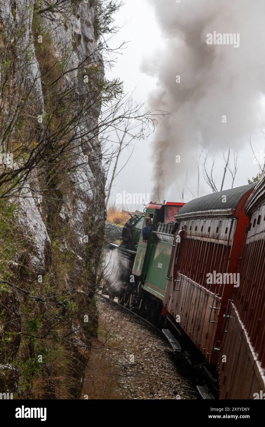 Eine Dampflokomotive Nr. 218A Klasse C16 der Zickzack-Bahn, die alte Touristenwagen für die Rückfahrt nach Clarence bei Lithgow in zieht Stockfoto