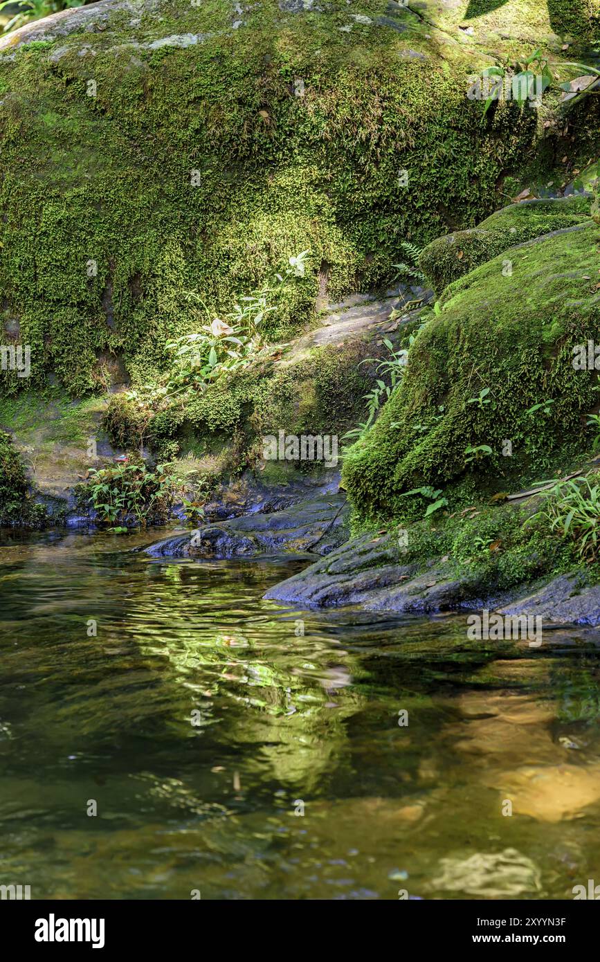 Kleiner Fluss und Wasserfall zwischen den Felsen der Itatiaia-Nationalpark in Penedo, Rio De Janeiro Stockfoto
