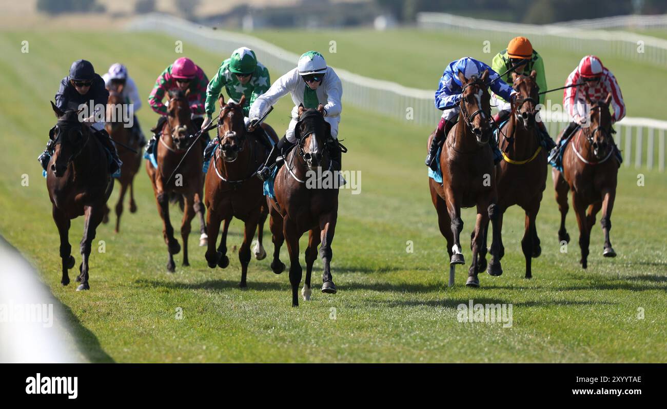 King Thistle, geritten von Patrick McGettigan auf dem Weg zum Gewinn der FBD Hotels and Resorts Faithlegg Hotel Nursery Handicap Dublin, Dublin. Bilddatum: Samstag, 31. August 2024. Stockfoto