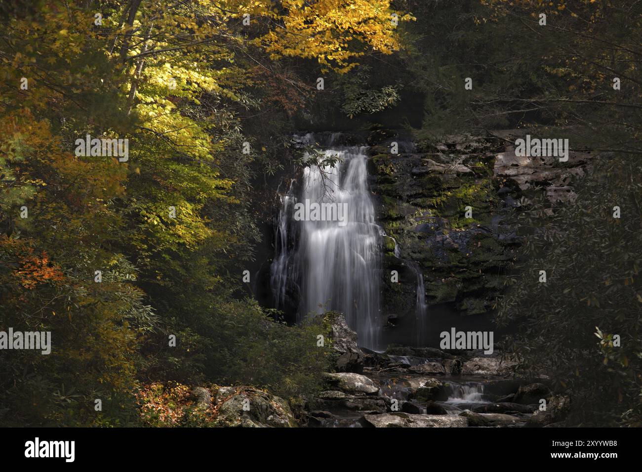 Meigs-Wasserfall. Great Smoky Mountains National Park, Tennessee, USA, Nordamerika Stockfoto