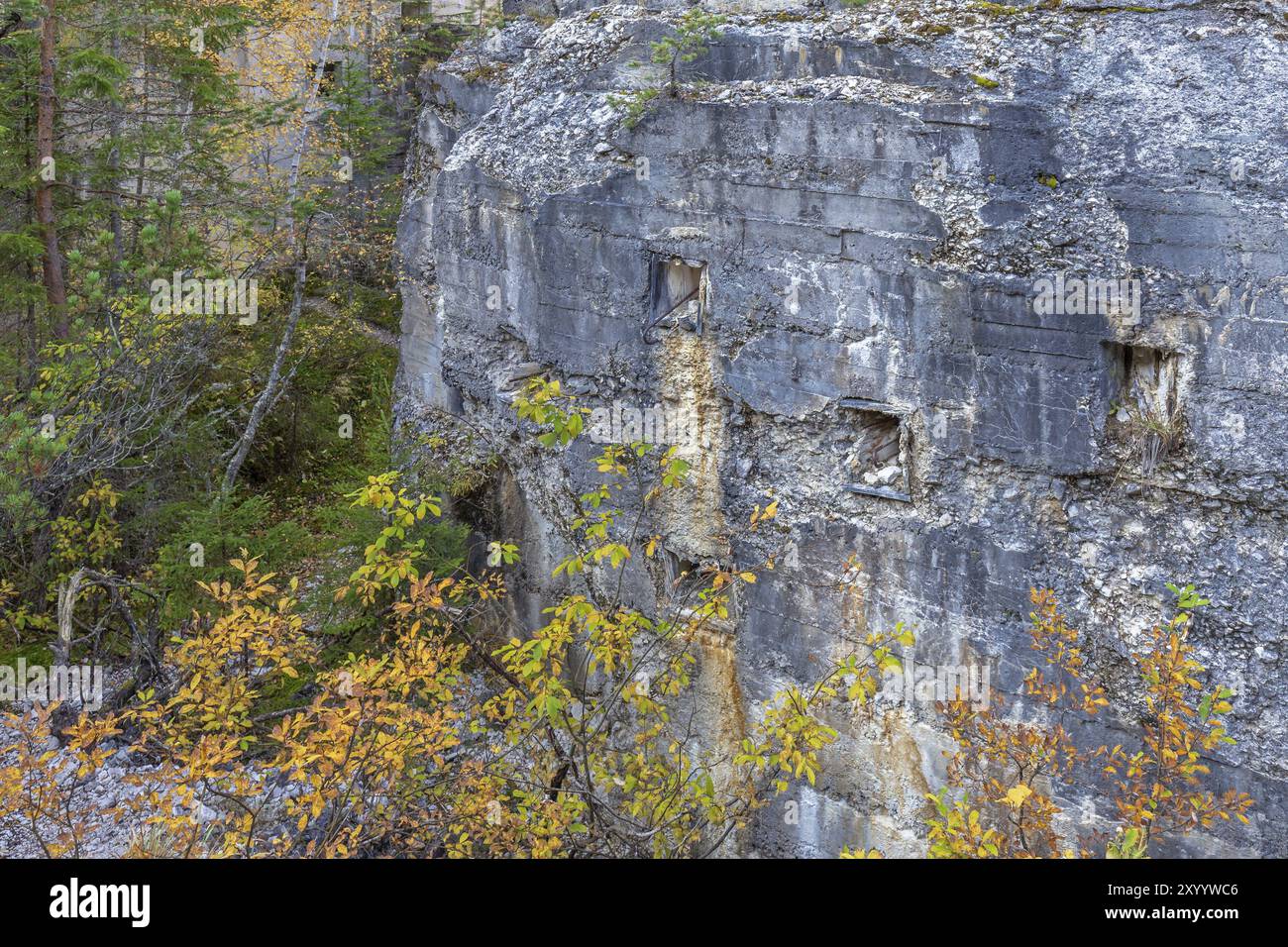 Ruine der Festung Landro, Südtirol Stockfoto