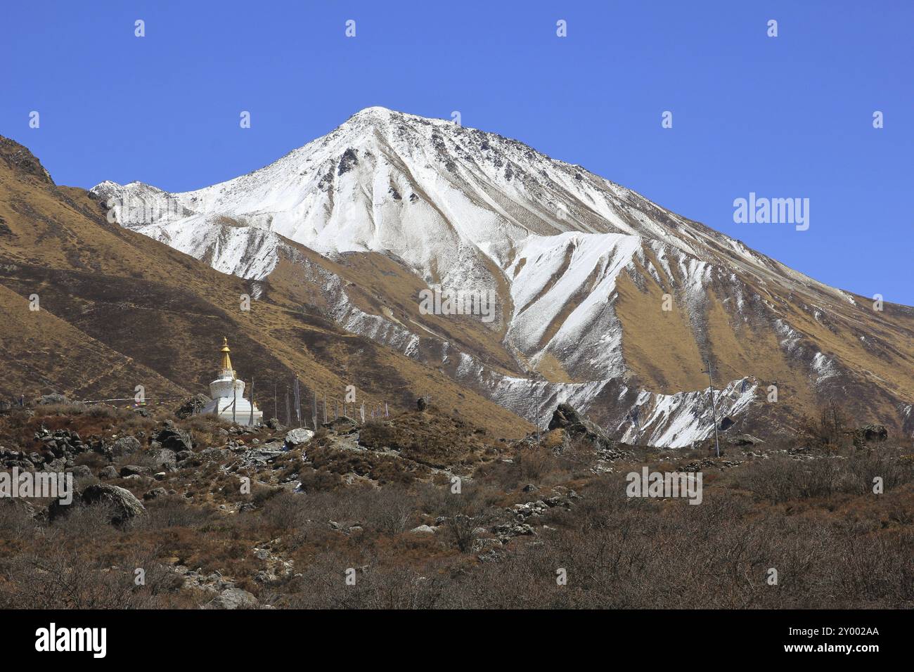 Berg Tserko Ri und kleine Stupa. Frühlingsszene im Langtang-Tal Stockfoto