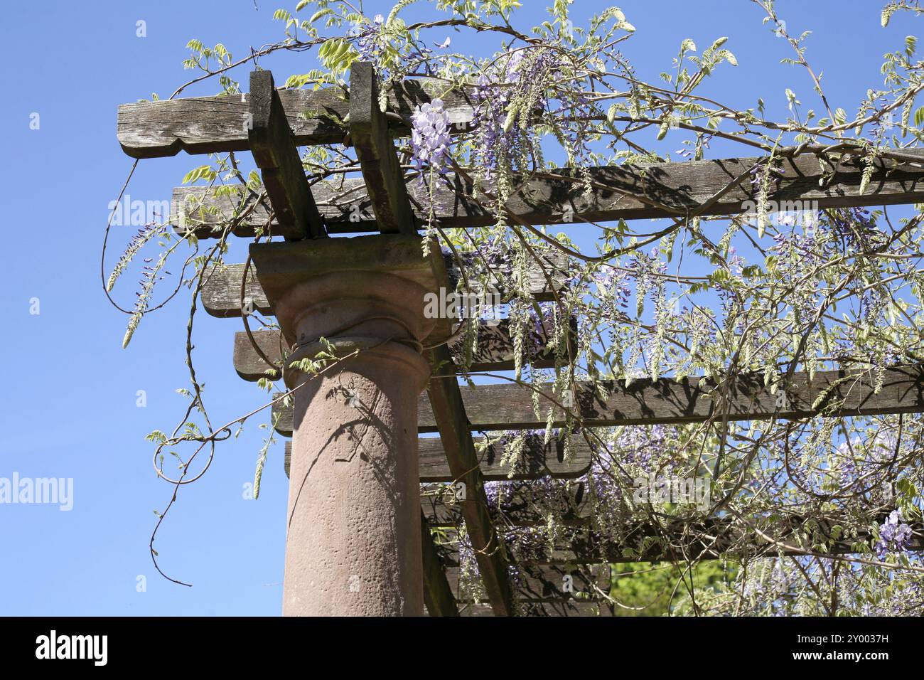 Stabile Kletterunterstützung Stockfoto