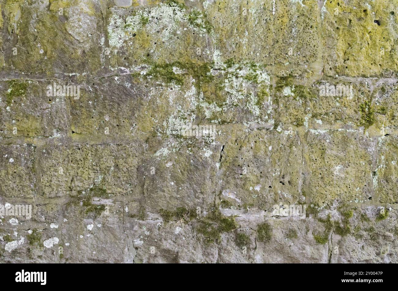 Alte Mauer Textur Stockfoto