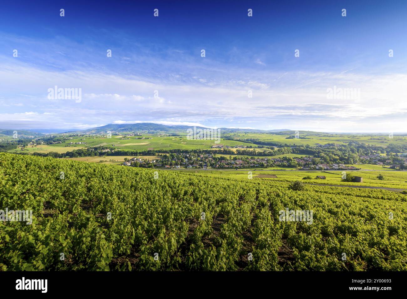 Cercie Village, Morgon und Brouilly Vineyards, Landschaft von Beaujolais, Frankreich, Europa Stockfoto