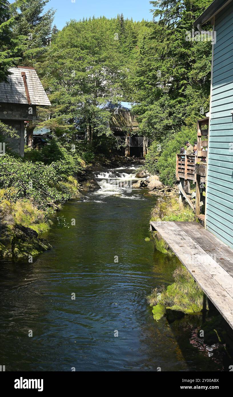 Einer der denkwürdigsten Häfen entlang der Inland Passage von Alaska ist Ketchikan, ein einzigartiges Fischerdorf in der Nähe von Juneau. Stockfoto