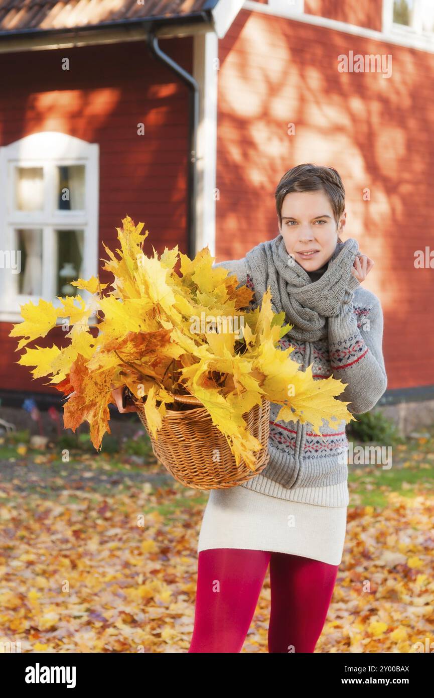 Attraktive junge Frau sammelt Herbstblätter in einem Korb. Im Hintergrund ein charakteristisches rotes schwedisches Holzhaus. Attraktive Frau sammelt au Stockfoto