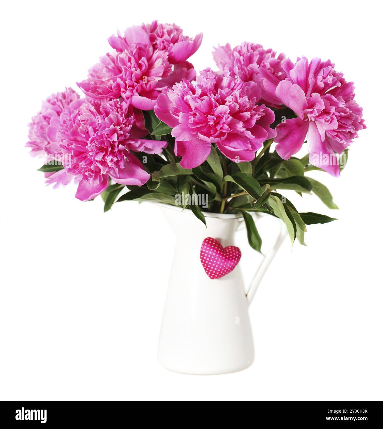 Rosafarbene Pfingstrosenblüten in Vase isoliert auf weiß Stockfoto