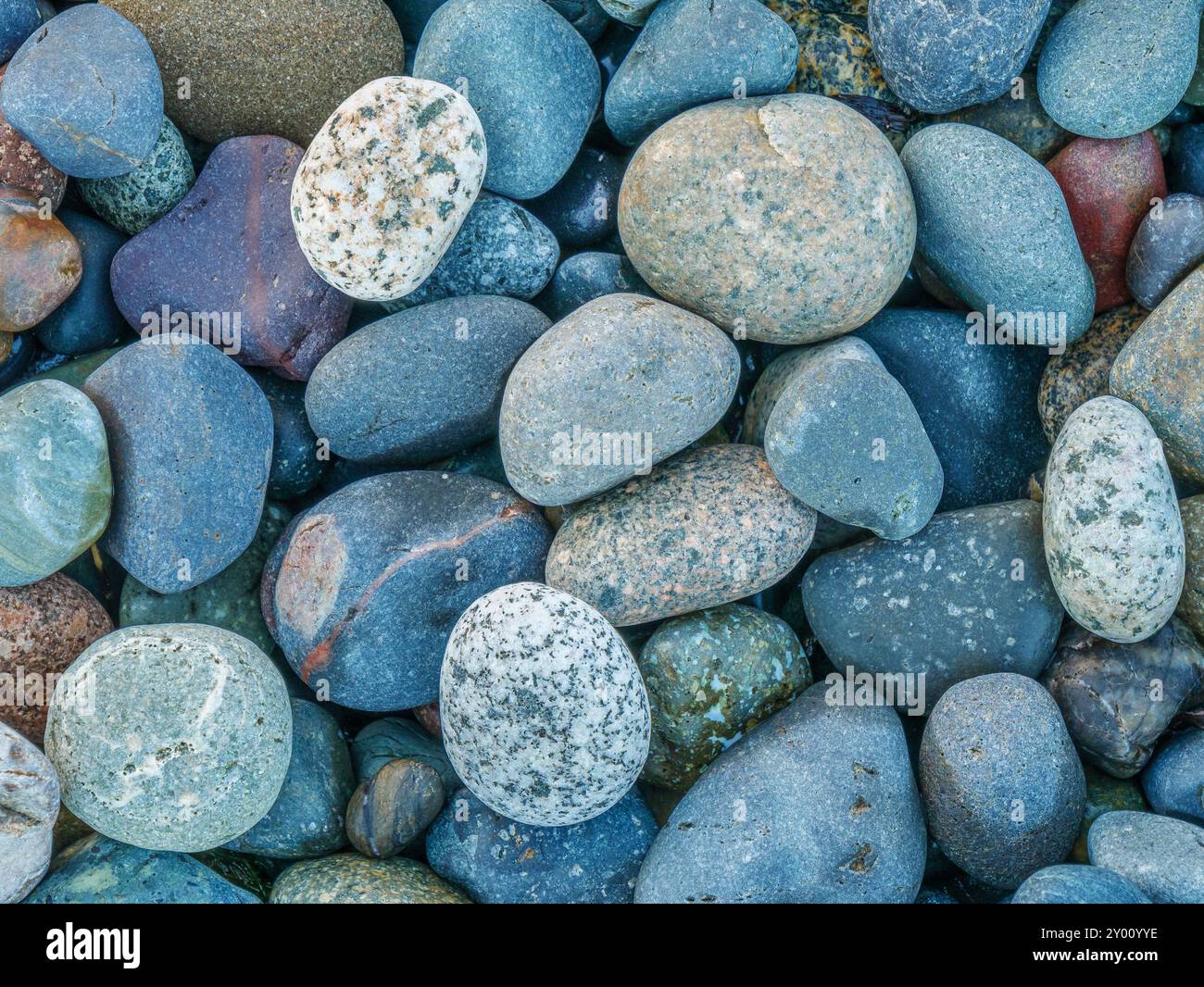 Detail mit verwitterten und getundelten Steinen am Strand Stockfoto
