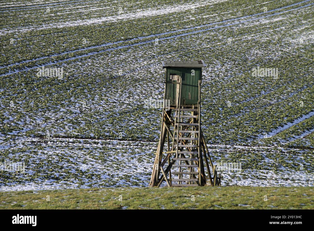 Hoher Sitz auf einem Feld mit Schneereste Stockfoto