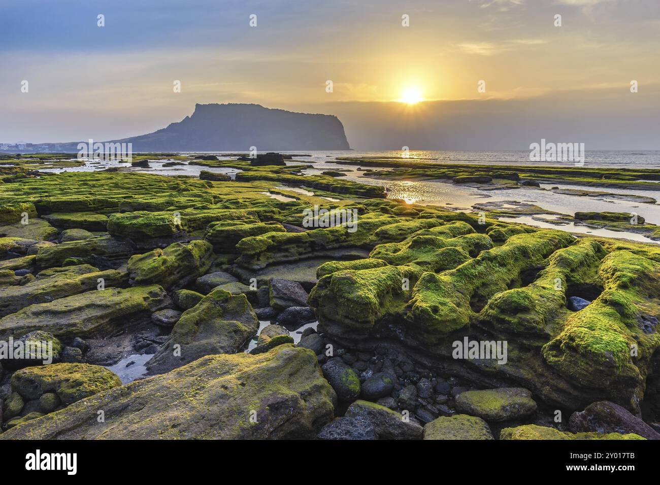 Insel Jeju Südkorea, Seongsan Ilchulbong Landschaft bei Sonnenaufgang Stockfoto