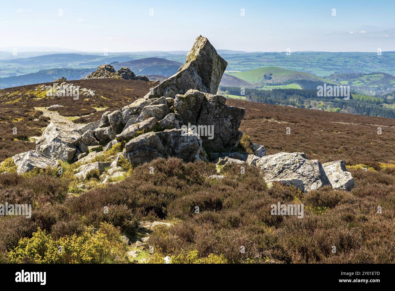 Shropshire Landschaft am Stiperstones National Nature Reserve, England, Großbritannien Stockfoto