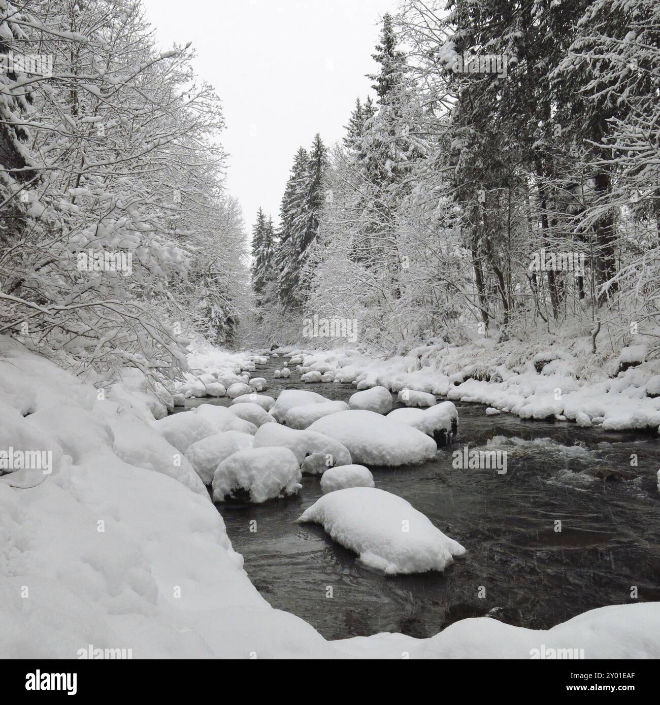 Saane, Fluss in den Schweizer Alpen an einem Wintertag Stockfoto