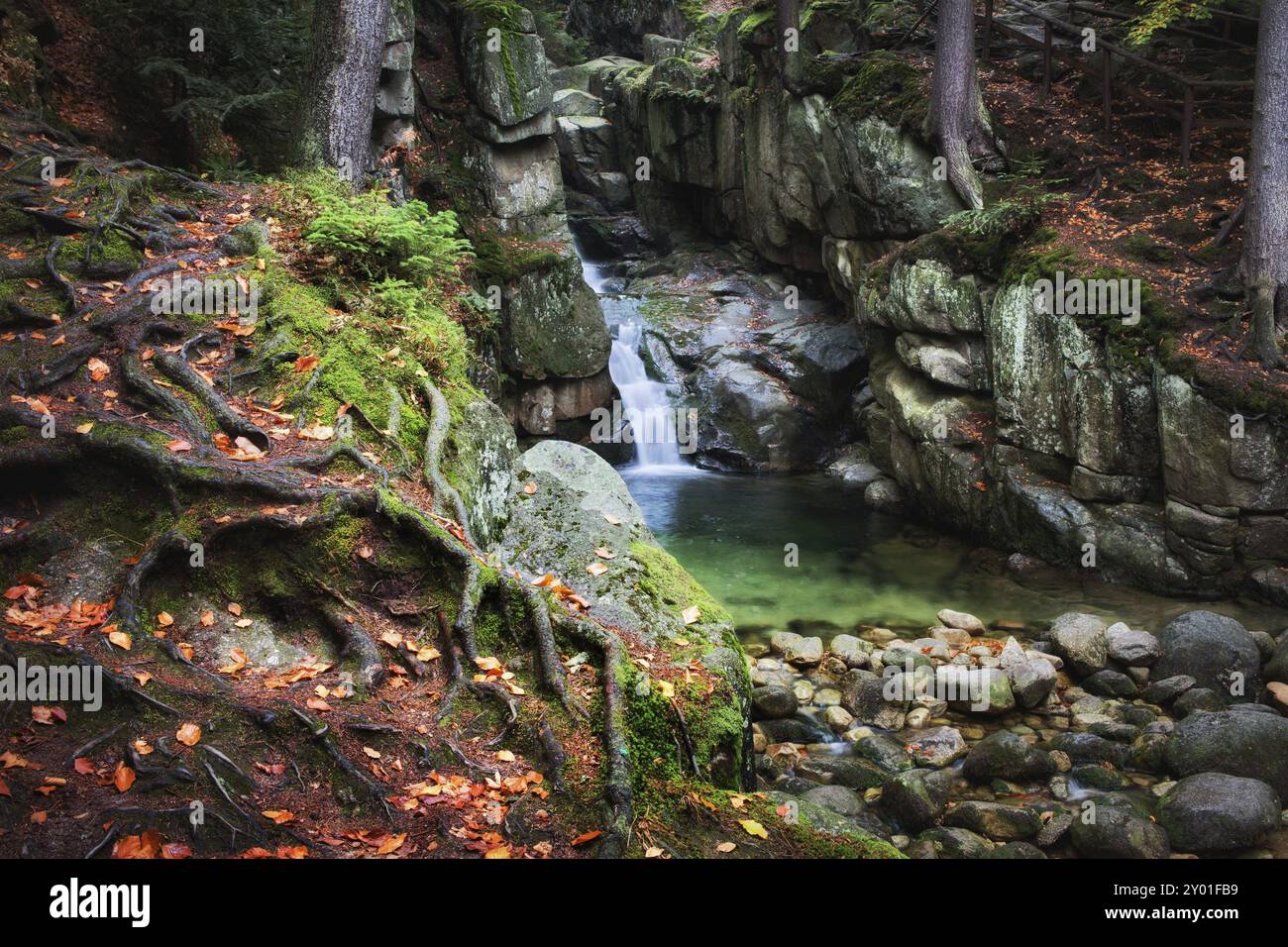 Verzauberter Ort am Wasserfall im herbstlichen Bergwald der Sudeten, Riesengebirge, Polen, Europa Stockfoto