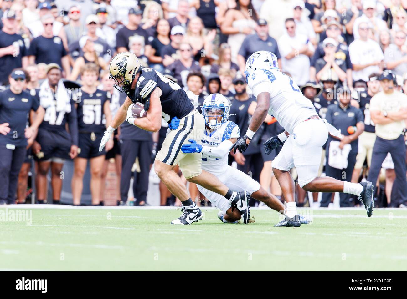 31. August 2024: Purdue Tight End Max Klare (86) läuft mit dem Ball nach dem Fang, während die Indiana State Defenders während der NCAA-Fußballspiele zwischen den Indiana State Platanen und den Purdue Boilermakers im Ross-Ade Stadium in West Lafayette, Indiana, verfolgen. John Mersits/CSM. (Bild: © John Mersits/Cal Sport Media) Stockfoto