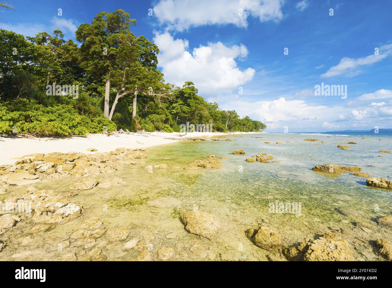 Klares Meereswasser setzt bei Ebbe Felsen an einem unberührten und unerschlossenen weißen Sandstrand auf Neil Island der Andamanen und Nicobar Island frei Stockfoto