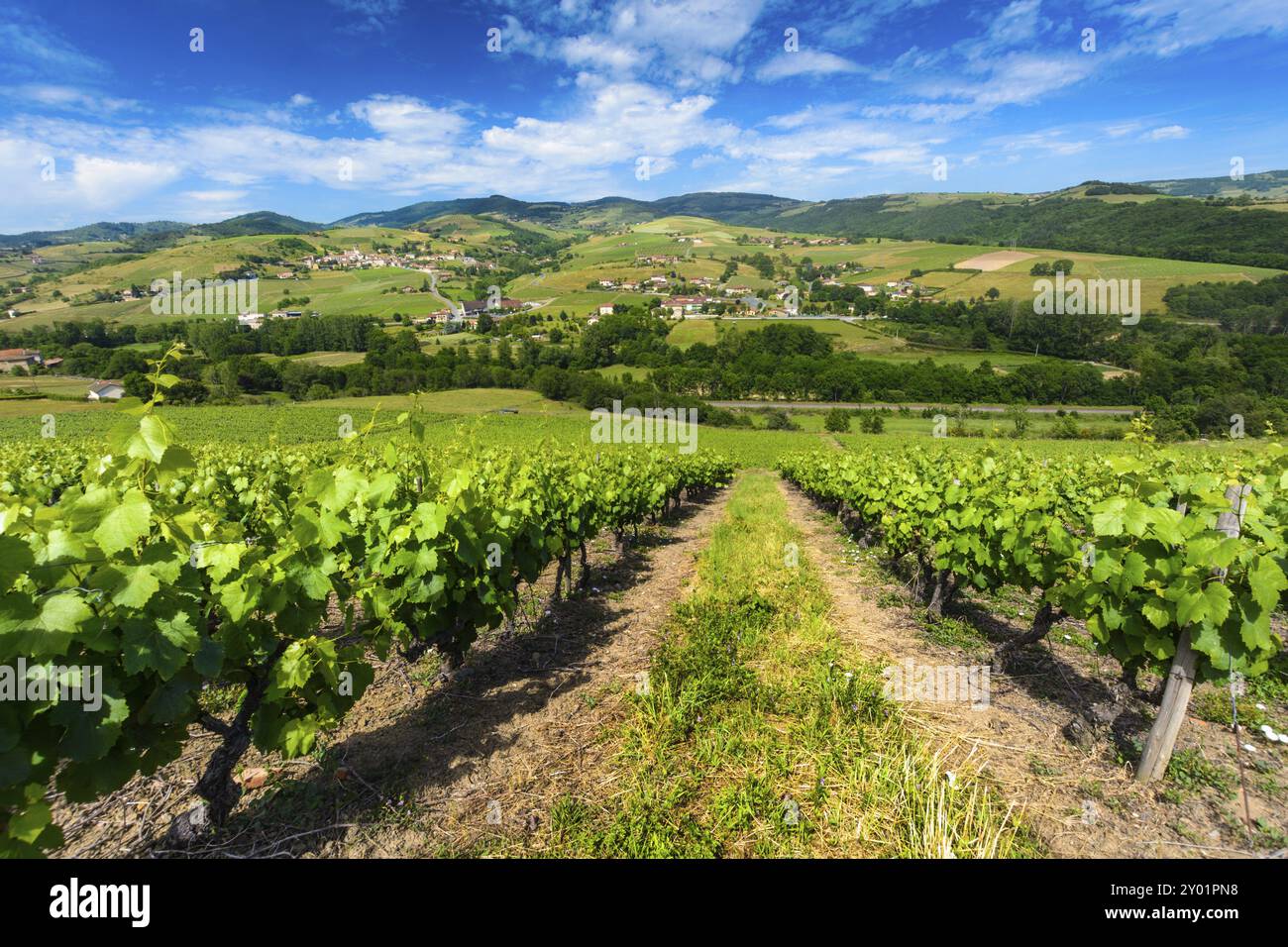 Die Weinberge von Ternand und Letra Dörfer im Beaujolais in Frankreich im Beaujolais in Frankreich Stockfoto