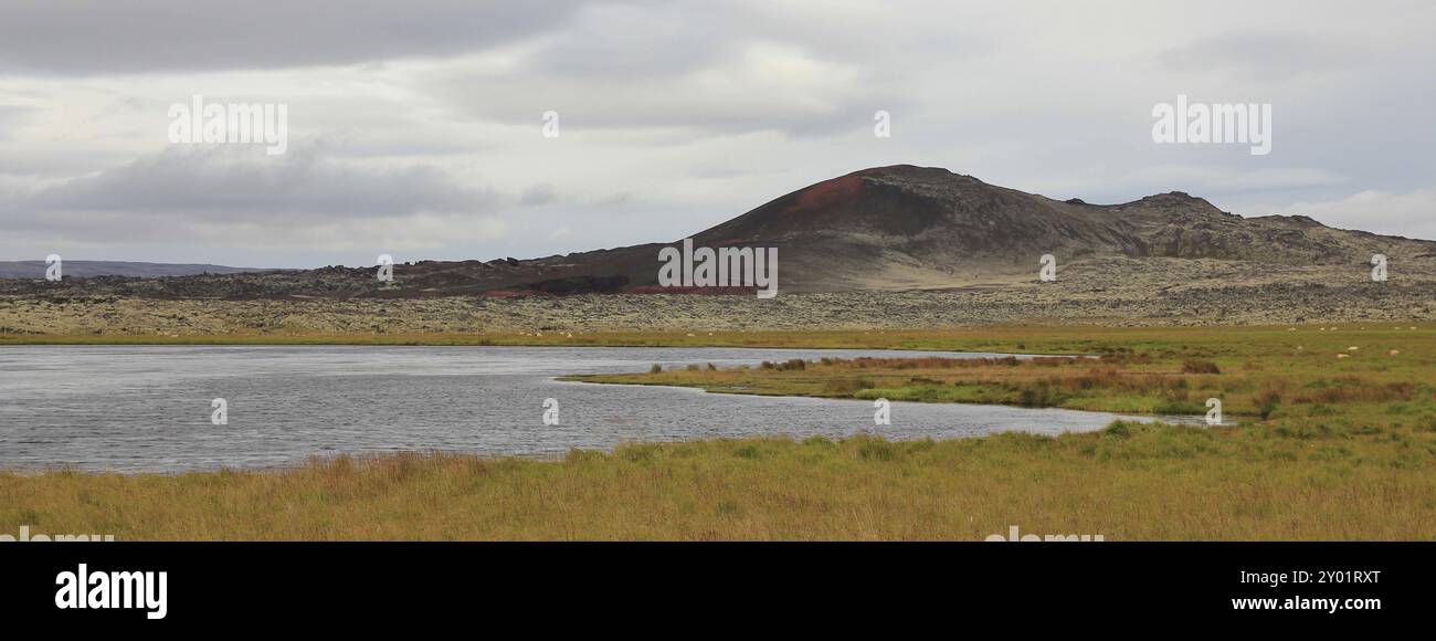 Alte Lavafelder, grüne Wiese und Teich in Island Stockfoto