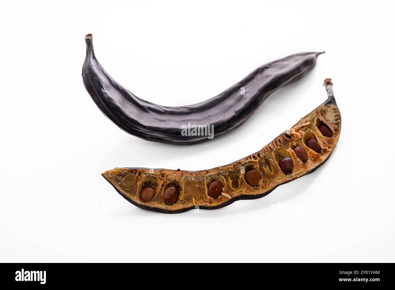 Gesunde Bio-süße Johannisbrotschoten mit Samenisolat Stockfoto