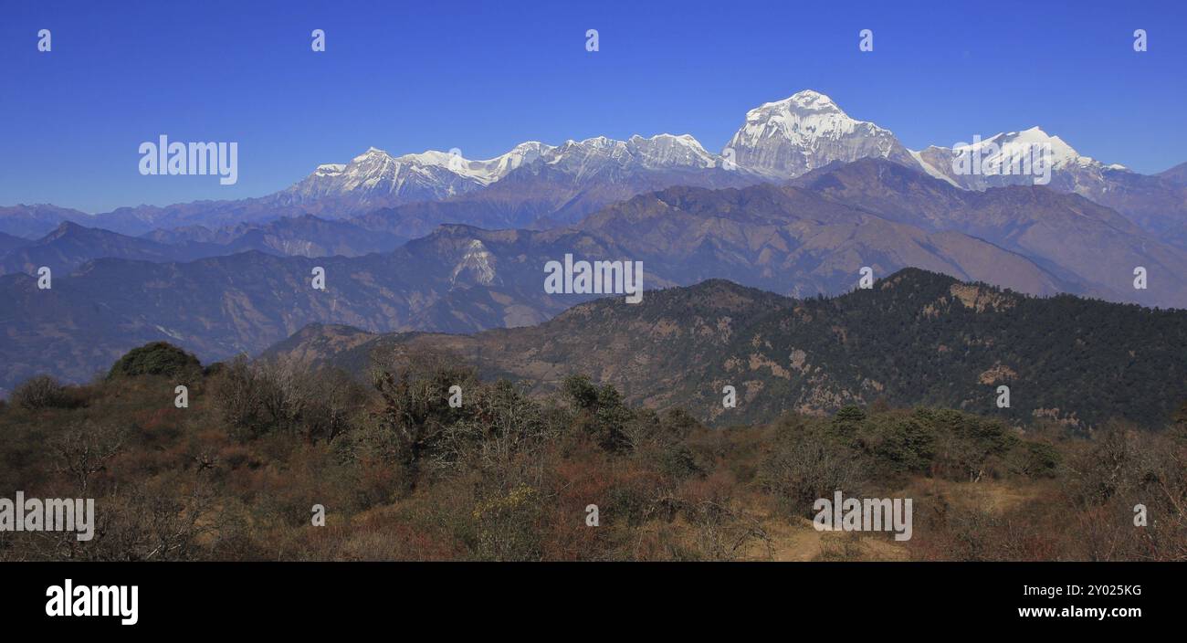 Herbsttag in Nepal. Dhaulagiri-Gebirge von einem Ort in der Nähe von Poon Hill aus gesehen Stockfoto