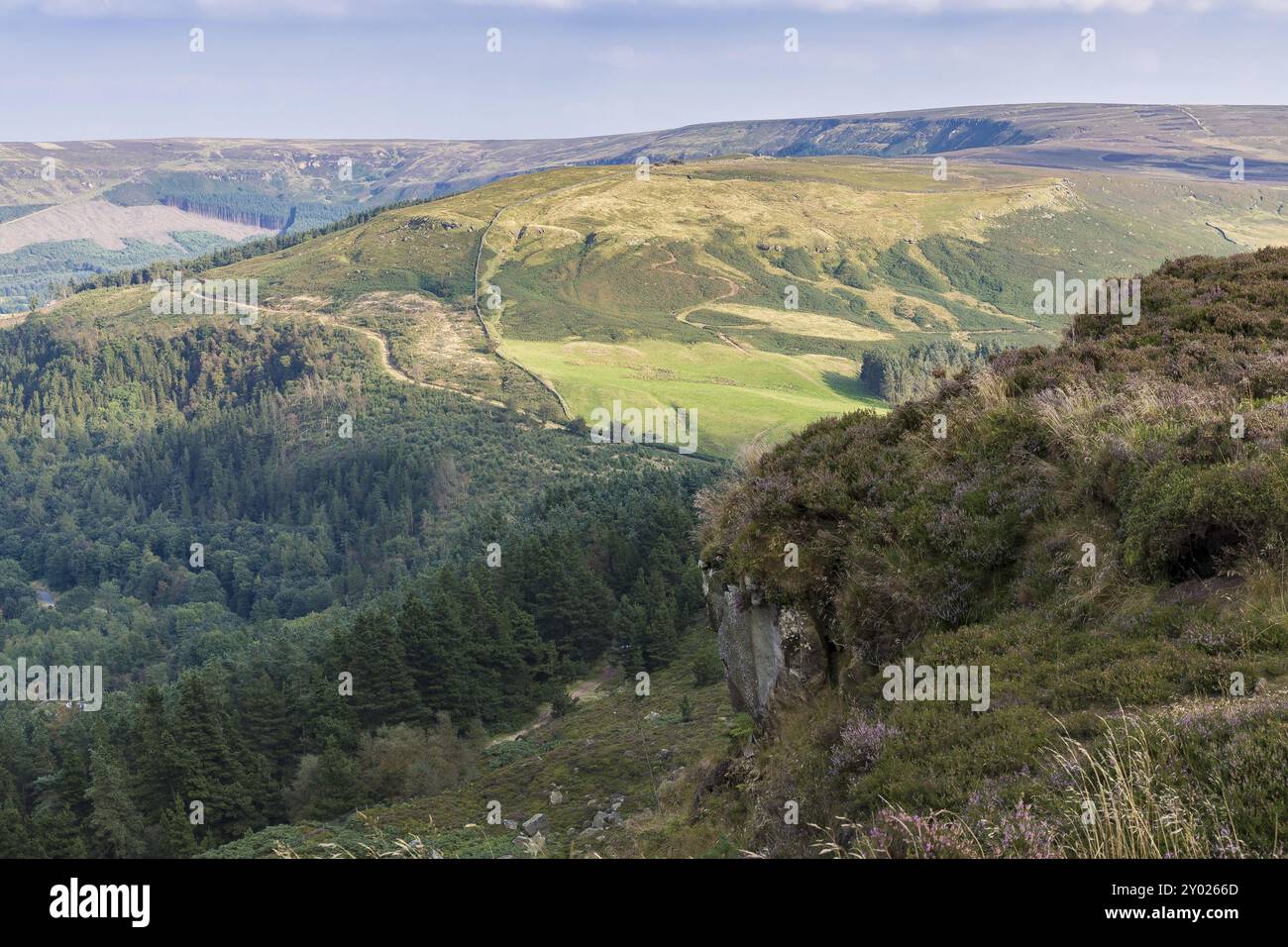 Blick auf die North York Moors von Cleveland Weg zwischen Clay Bank und Wainstones, in der Nähe der Stokesley, North Yorkshire, Großbritannien Stockfoto