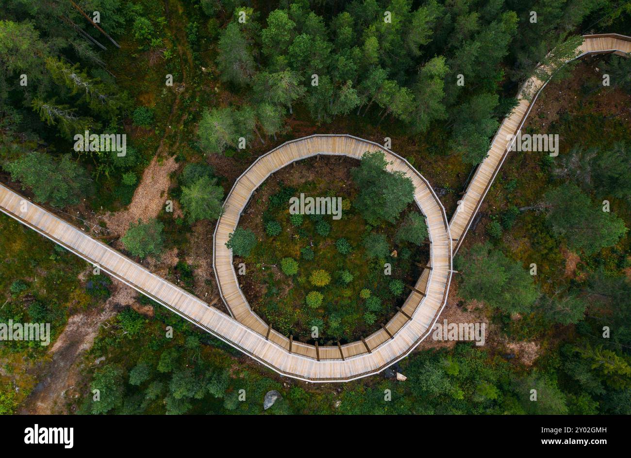 Hamaren Activity Park Green Pines Trees aus der Vogelperspektive mit geschwungenem Baumwipfelpfad. Bild des Konzepts Reisen, Architektur und Schönheit in der Natur. S Stockfoto
