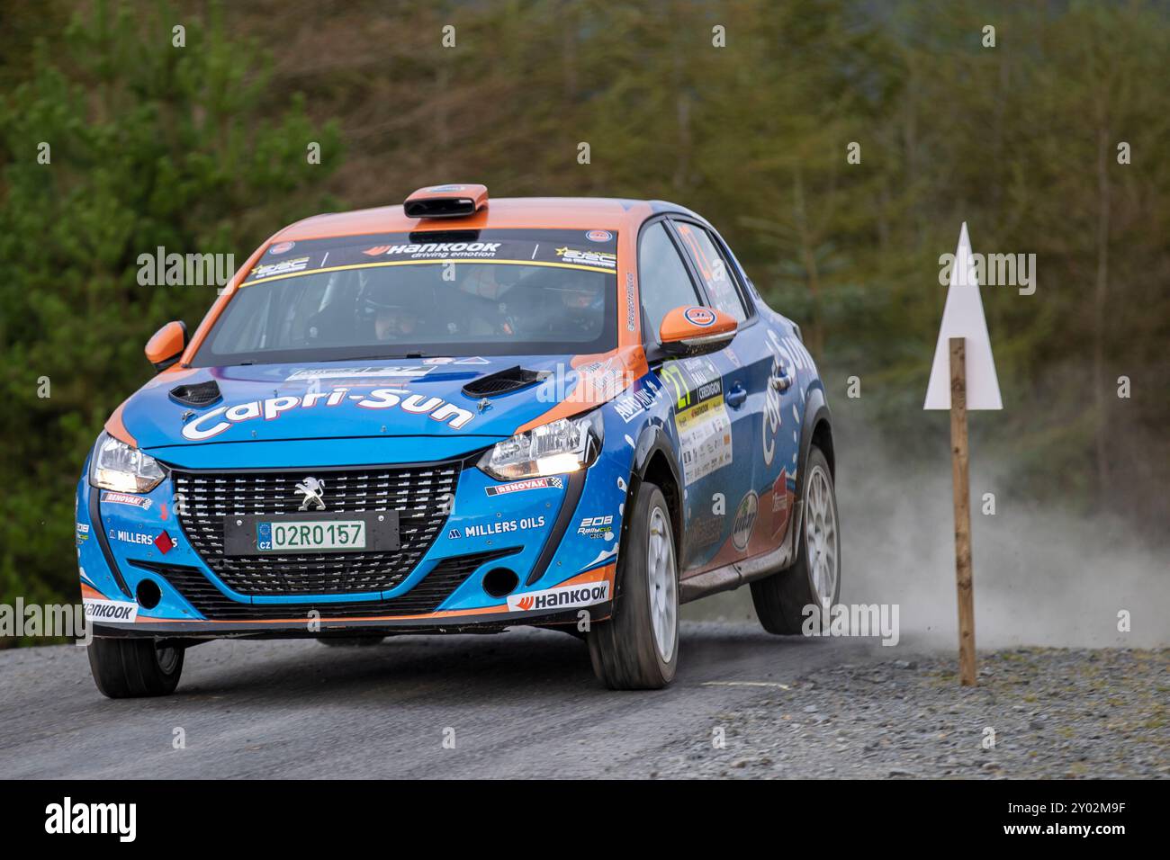 Aberystwyth, Dyfed, Großbritannien. 31. August 2024. 2024 FIA Rallye-Europameisterschaft Tag 2; Fahrer Daniel Polasek und Beifahrer Zdenek Omelka in ihrer Peugeot 208 Rally4 durch Nant Y Moch Stufe 8 Credit: Action Plus Sports/Alamy Live News Stockfoto