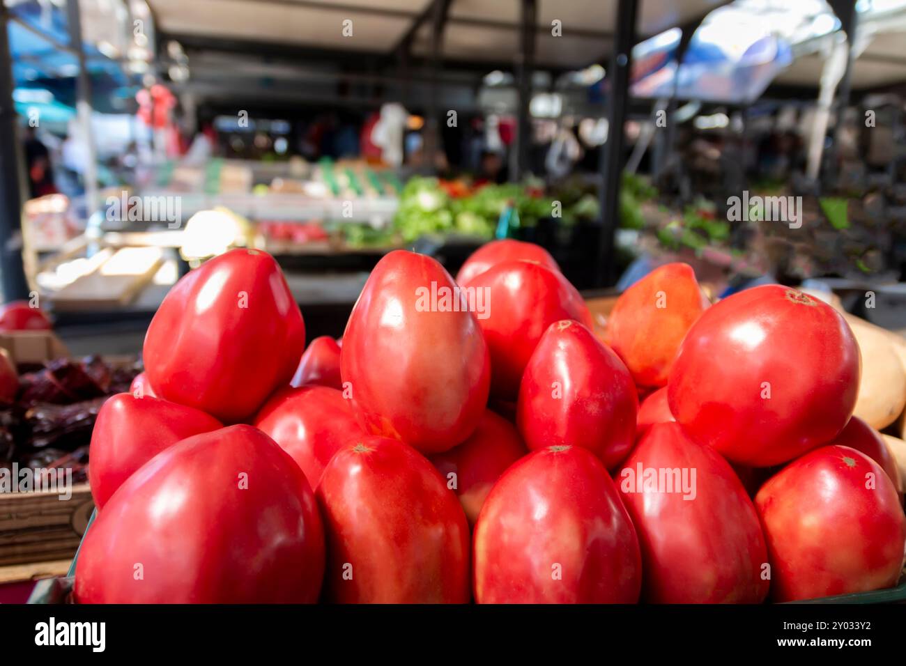 Bio-Ochsenherz-Tomaten am Bauernmarkt. Gemüse, das im Dorf angebaut wird. Ein umweltfreundliches Produkt. Stockfoto