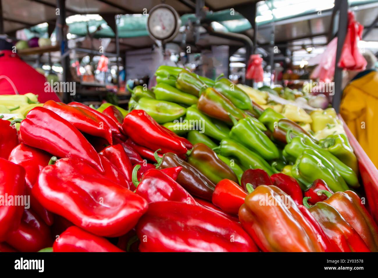 Bauernmarkt. Verschiedene rohe Bio-Paprika. Gesunde Ernährung Stockfoto