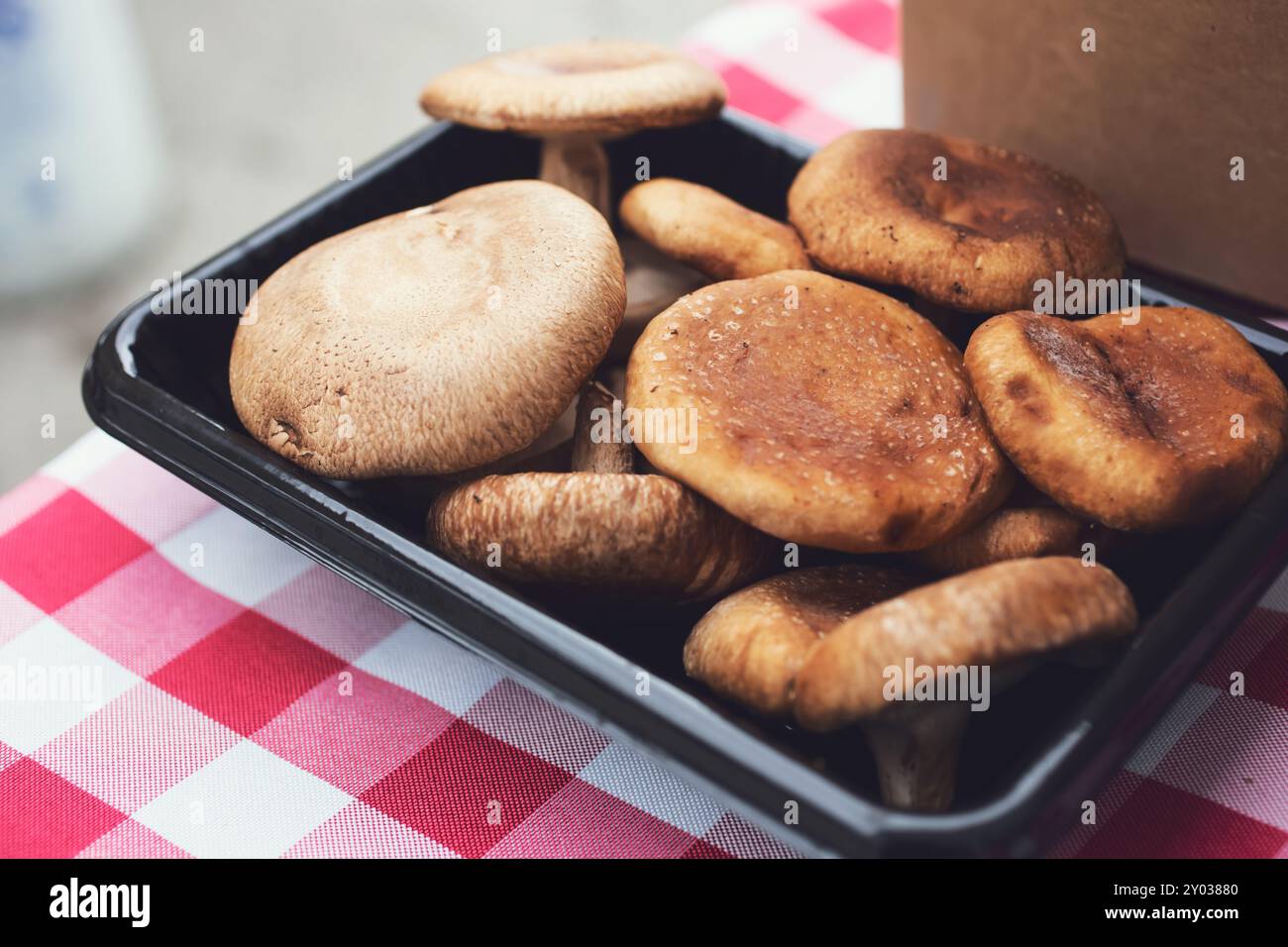 Ein Blick auf einen Container voller Shiitake-Pilze, gesehen auf einem lokalen Bauernmarkt. Stockfoto