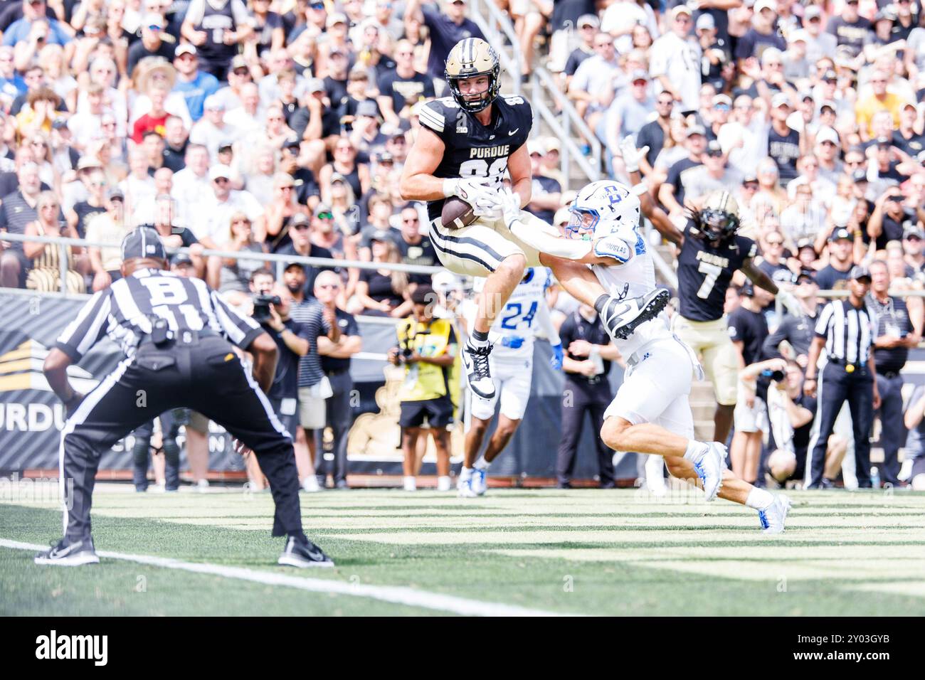 31. August 2024: Urdue Tight End Max Klare (86) fängt den Ball für einen Touchdown während der NCAA-Football-Action zwischen den Indiana State Platanen und den Purdue Boilermakers im Ross-Ade Stadium in West Lafayette, Indiana. John Mersits/CSM. Stockfoto