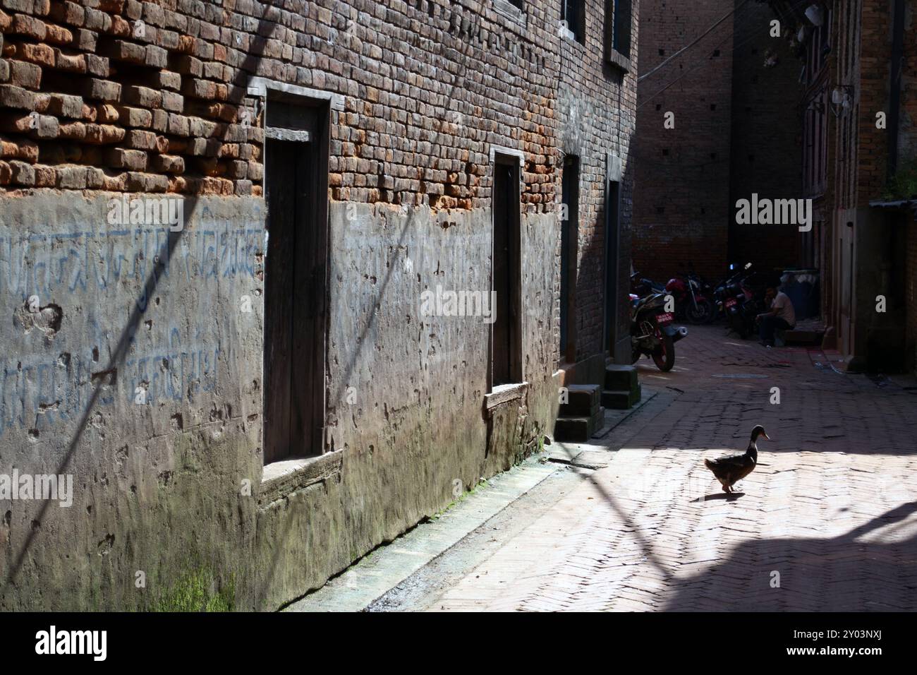 Geflügel spazieren durch die ruhigen Gassen von Kathmandu, Nepal Stockfoto