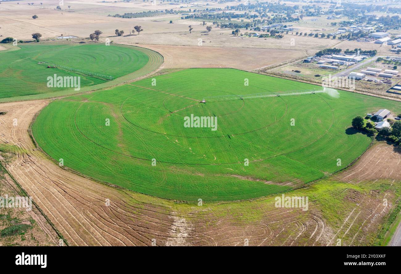 Bewässertes Ackerland in Canowindra im NSW Central West. Australien Stockfoto