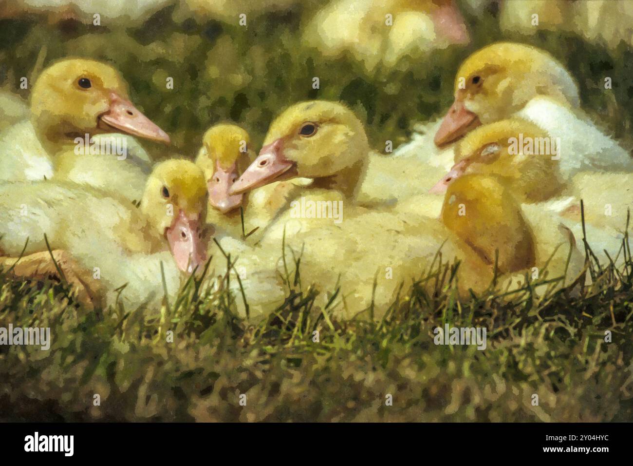 In einem sanften Vintage-Stil sitzen flauschige gelbe Enten friedlich auf einer grünen Wiese. Die warmen Töne und der Aquarelleffekt verleihen dem Bild eine nostalgische, Stockfoto