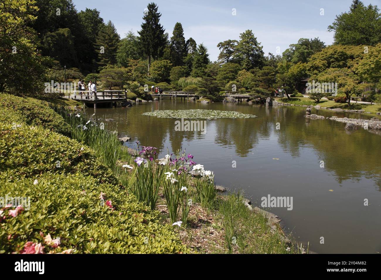 Japanischer Garten im Arboretum von Seattle Stockfoto