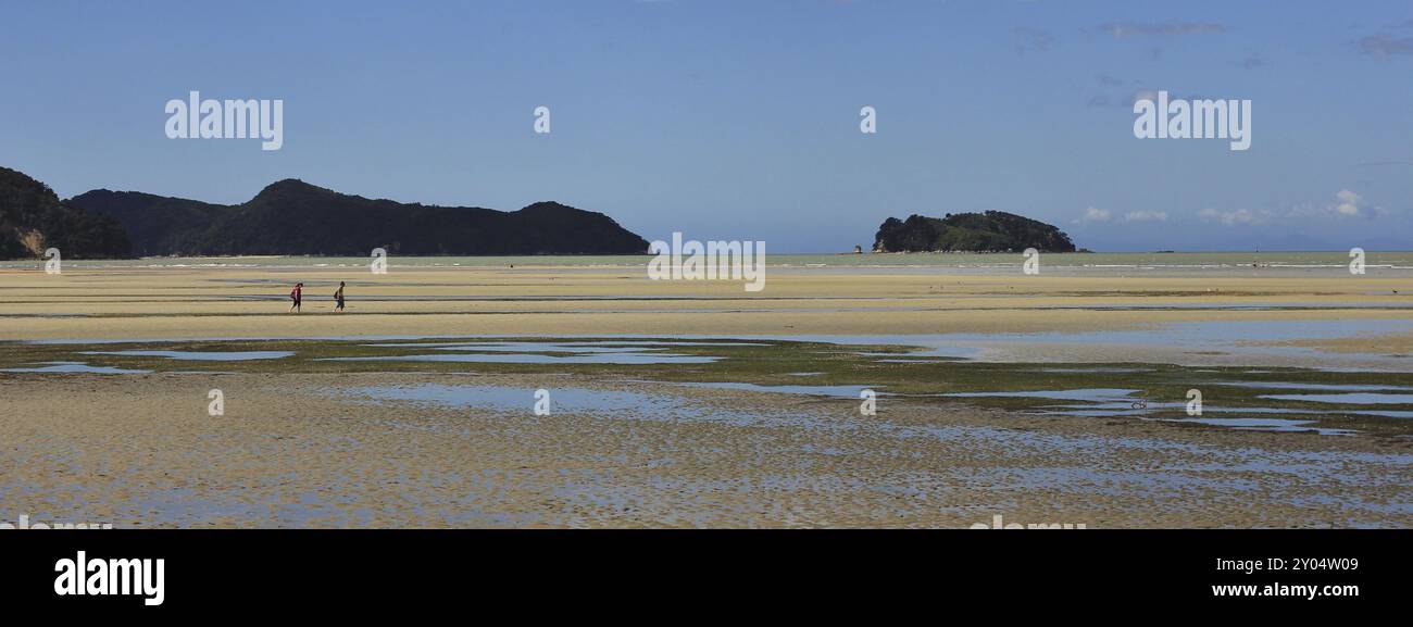 Sandstrand von Marahau bei Ebbe. Kleine Insel. Szene im Abel Tasman National Park, Neuseeland, Ozeanien Stockfoto