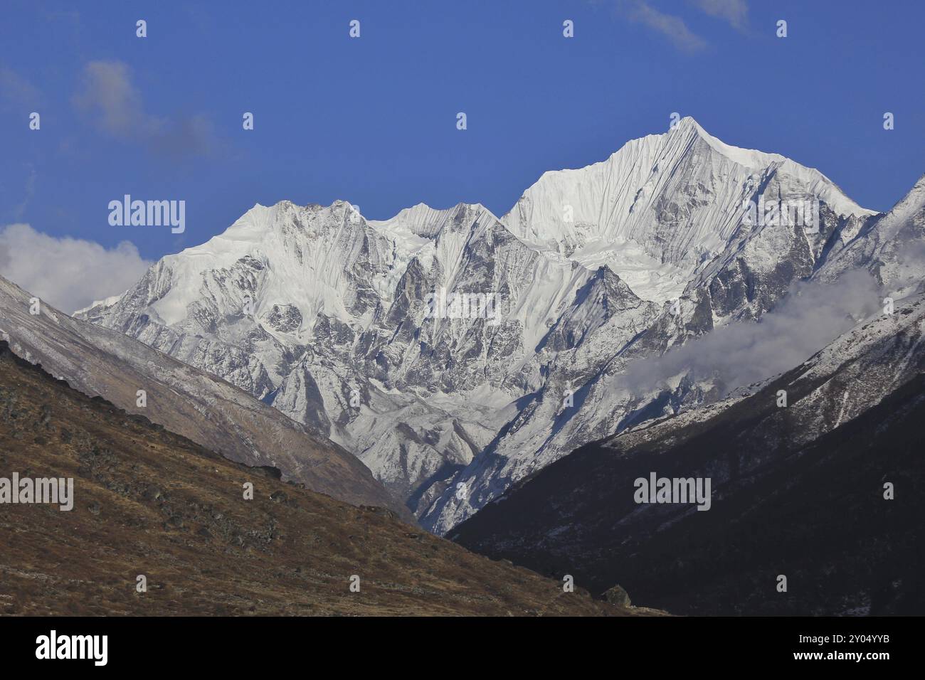 Frühlingstag im Himalaya. Mount Gangchenpo, Langtang-Tal, Nepal, Asien Stockfoto