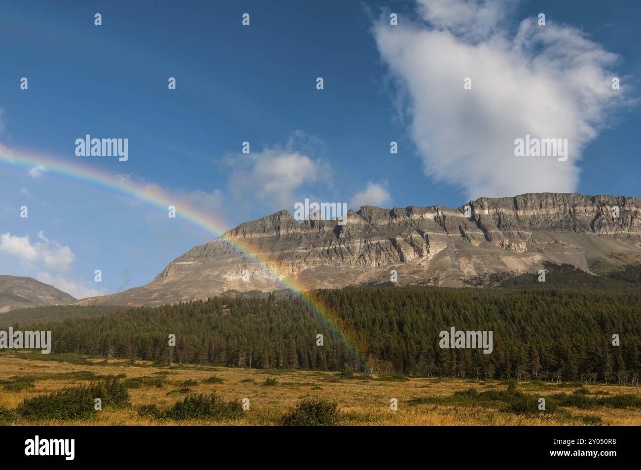 Ein Regenbogen vor dem Singleshot Mountain im Glacier National Park in Montana, USA Stockfoto