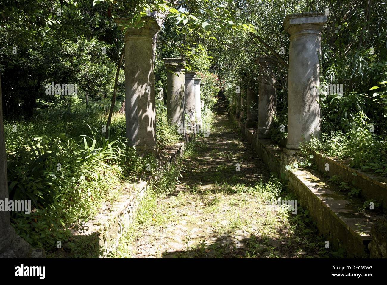 Italien, Golf von Neapel. Insel Capri. Villa Moneta, bewachsener Garten mit alten Säulen, Säulengarten. Auf dem Weg zur Villa Fersen, Capri, Campani Stockfoto