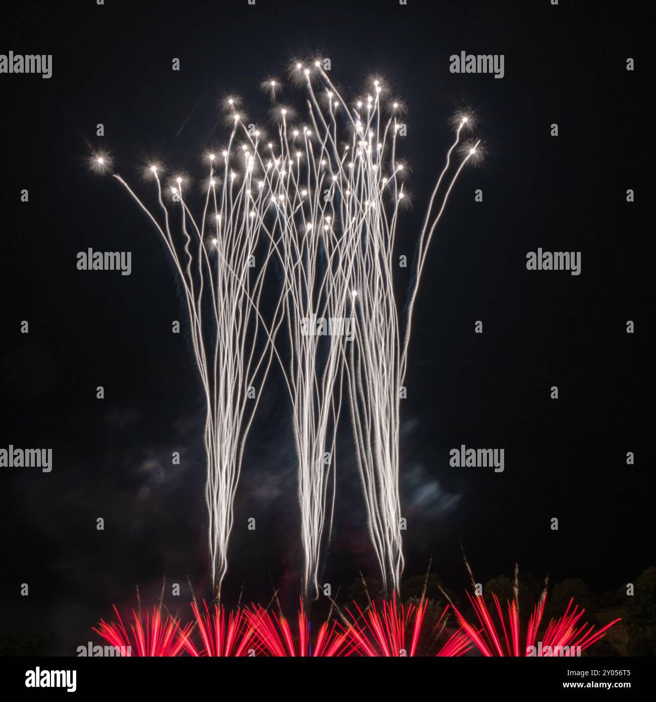 Buntes Feuerwerk gegen den Schwarzen Himmel Stockfoto